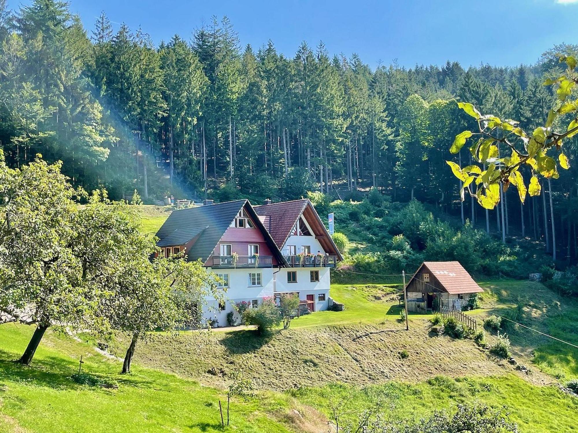 Ferienwohnung Deine Rauszeit Зеебах Экстерьер фото